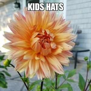 KIDS hats